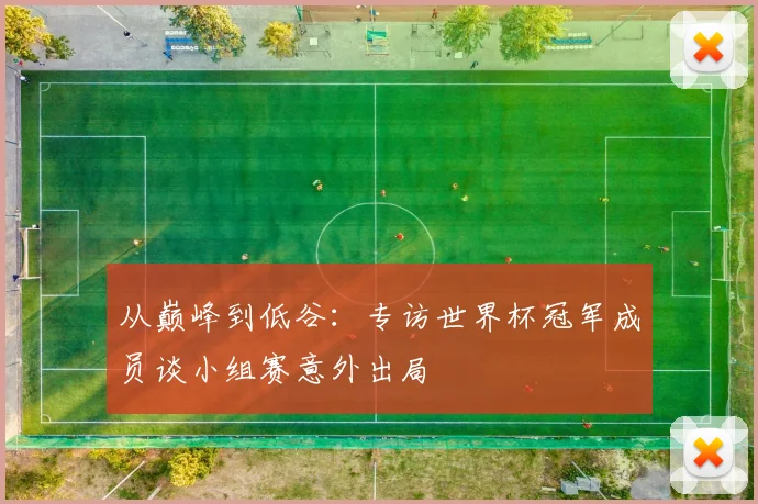 从巅峰到低谷：专访世界杯冠军成员谈小组赛意外出局