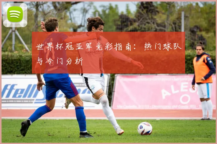 世界杯冠亚军竞彩指南:热门球队与冷门分析