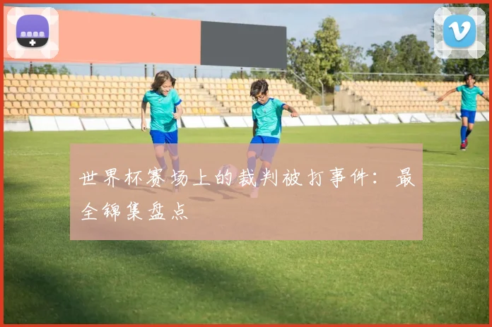 世界杯赛场上的裁判被打事件:最全锦集盘点