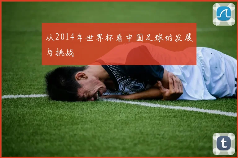 从2014年世界杯看中国足球的发展与挑战