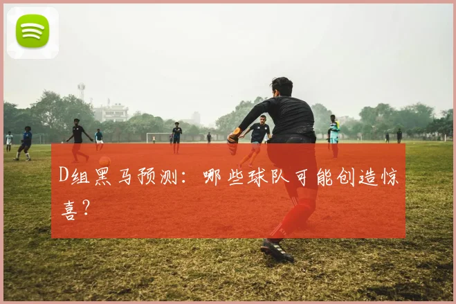 D组黑马预测：哪些球队可能创造惊喜？