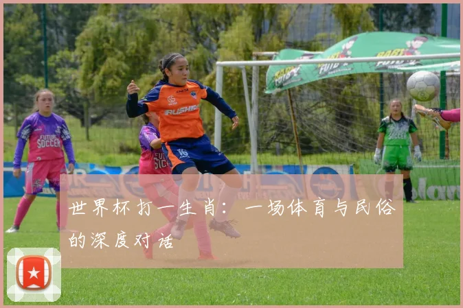 世界杯打一生肖:一场体育与民俗的深度对话