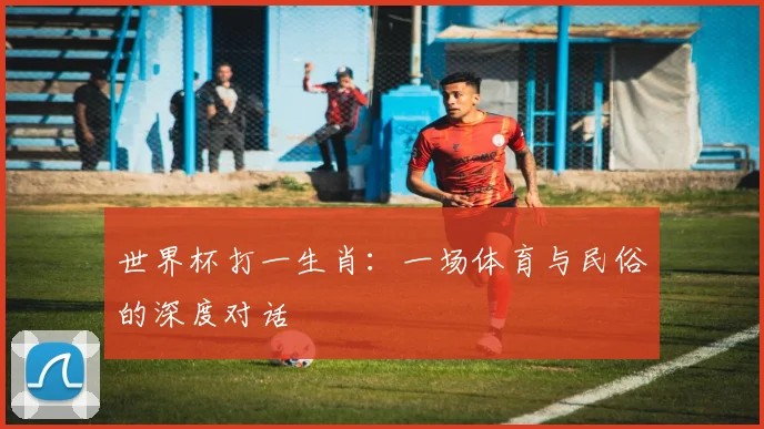 世界杯打一生肖:一场体育与民俗的深度对话