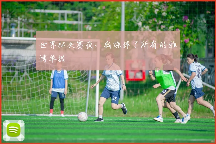 世界杯决赛夜,我烧掉了所有的雅博单据