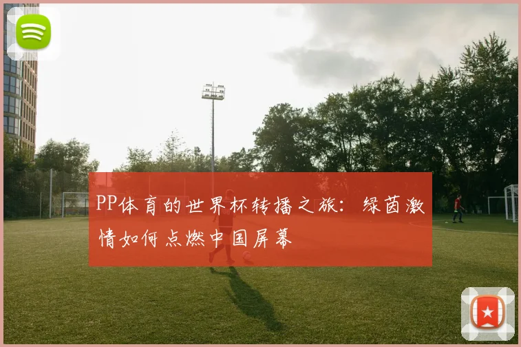 PP体育的世界杯转播之旅:绿茵激情如何点燃中国屏幕