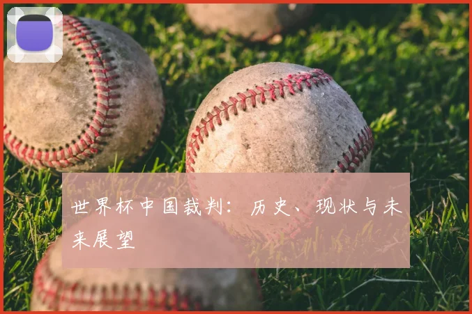 世界杯中国裁判:历史、现状与未来展望