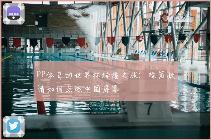 PP体育的世界杯转播之旅:绿茵激情如何点燃中国屏幕