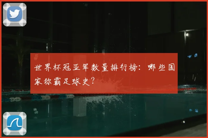 世界杯冠亚军数量排行榜:哪些国家称霸足球史?