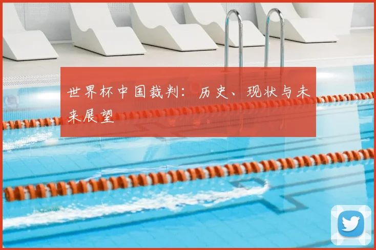 世界杯中国裁判:历史、现状与未来展望